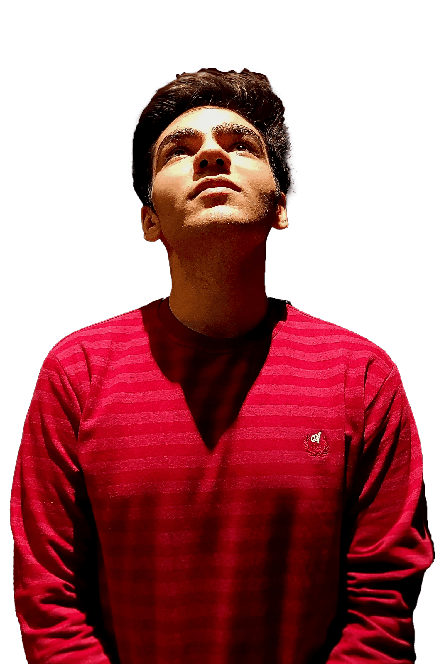 a picture of Arman Hajmohammadi